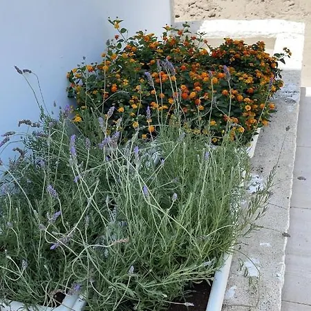 Apartament Tenuta Le Marze