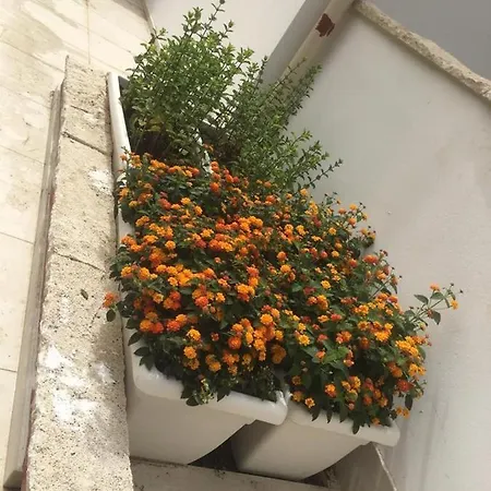 Apartament Tenuta Le Marze *