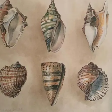 Tenuta Le Marze Διαμέρισμα Castiglione della Pescaia
